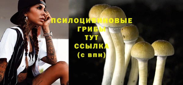 альфа пвп Баксан