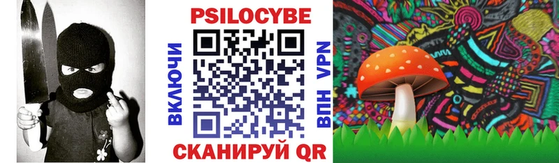 kraken рабочий сайт  Красный Холм  Галлюциногенные грибы мицелий 